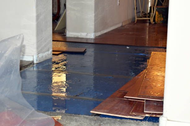 Professional Water Damage Restoration technician working in Spring Grove, IL